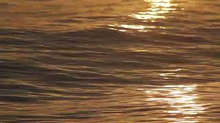 ocean lil waves #view #pesonaindonesia #freestockvideos #freestockshotindonesia MVI 7181