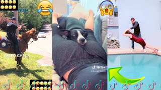 Tik Tok Funny Video Of May (2020 #6) 😂😂