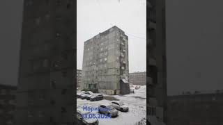 Норильск, снег идет. 13.05.2024