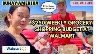 USA Grocery Shopping Vlog | Ano Ang Mabibili Sa $250 Grocery Budget Sa Walmart