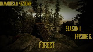 THE FOREST [1. ÉVAD] 6. Epizód: BETEG VAGYOK