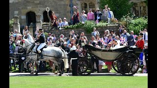 Inside The RM🦁🏴󠁧👑🦄🏇The Horses taking part in The RW🤴🏻👸🏽💞