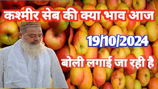 apple today bhaw 19/10/2024 आज का रेट सेब का रेट क्या है देख