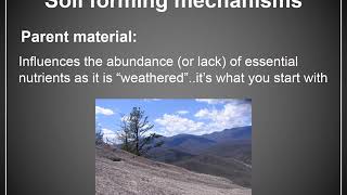 Lecture 6   Forest Soil Part 1 Video