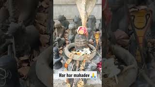 Har har Shiv Shambhu 🙏🙏 ❤️ Jay bhole mahakal 🙏❤️🥀 #shiva #mahadevstatus #mahakal #youtubeshorts