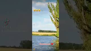 Не нужно пить на Рыбалке 😅 #shorts #fishing #рек #рекомендации #fish #рыбалка #tiktok #карась