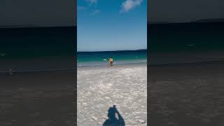 Hyams Beach | White Sand Beach | Jervis Bay #jervisbay #whitesand #traveldestinations #exploremore