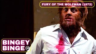 FURY OF THE WOLFMAN (1972) | English full movie | Horror Mystery