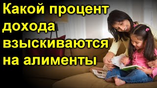 Какой процент дохода взыскиваются на алименты