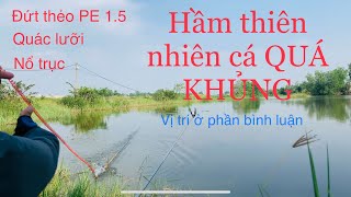 Săn hàng khủng Hầm Miếu Thiêng bỏ hoang lâu năm | Câu đài hoang dã ✅