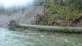 Sandy River Run: Buried tree trunks from the last eruption