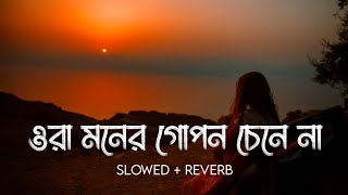 ওরা মনের গোপন চেনে না | Ora Moner Gopon Cehne Nah | Hridoyer Rong | Slowed & Reverb  | Sr Lofi Vibes