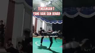 Teknik tendangan T #teknik #tendangan #pencaksilat