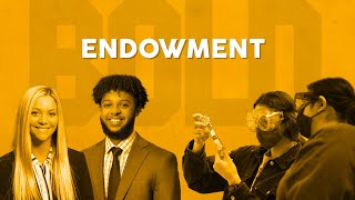 Manchester Bold Giving Opportunities - Endowment