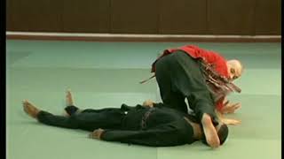 №4 #travail de descente au sol Franck #Ropers - #Pencak Silat Traditionnel