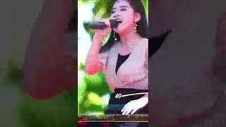 new pallapa terbaru penutup akhir tahun 2023 full album #newpallapaterbaru #kypatih