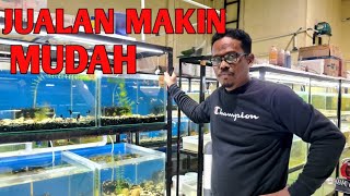 Nemu Aplikasi yang Bisa Mempermudah Jualan Ikan Guppy - Semua breeder harus tau