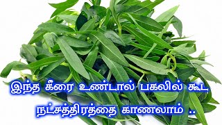 இந்த கீரை உண்டால் பகலில் கூட நட்சத்திரத்தை காணலாம் - Ponnanganni Keerai - பொண்ணாங்கண்ணி கீரை