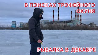 РЫБАЛКА В КОНЦЕ ДЕКАБРЯ / В ПОИСКАХ РЫБНОЙ ТОЧКИ