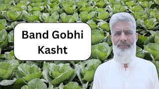 Band Gobhi Ki Kasht | Gobhi Profit In Pakistan | Interview | Murad Ali Rehmani