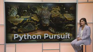 Python Pursuit Documentary Promo