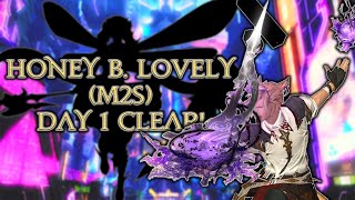 My Day 1 Clear! - RDM PoV - AAC Light-Heavyweight M2 Savage (Honey B. Lovely)