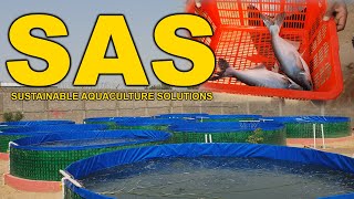 Feasibility & Visit of Sustainable Aquaculture Solutions (SAS) Farm  | How to Set up Tank on Rooftop