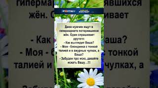 Как выглядит ВАША #анекдоты #радость #шортс #юмор #приколы #смех #шутки#рекомендации