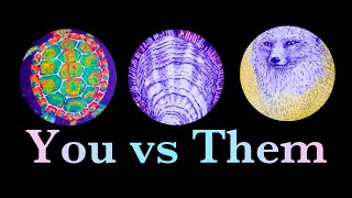 You vs Them… 💕Truth About This Connection | 🔮Pick A Card Reading