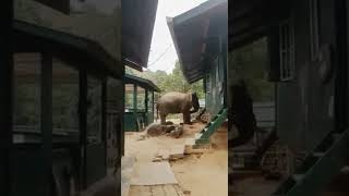 POS TENTERA DIBANDING GRIK PERAK DI SERANG GAJAH KELAPARAN