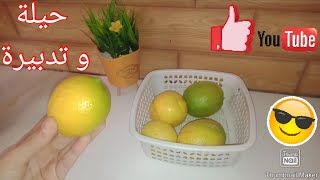 عندك الليمون 🍋🍋و حبيتي تحتافظي بيه لمدة طويلة 🤔هاد الفيديو غادي يسلكك 😍😲