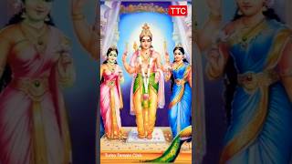 MURUGA #muruga #1k #live #new #viral #trending #kovil #shiv #history #short #world #tamil #turbo #1m