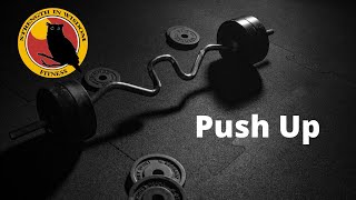 Push Up Demonstration (Strength in Wisdom Fitness)