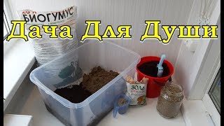 Как приготовить хороший грунт для РАССАДЫ?