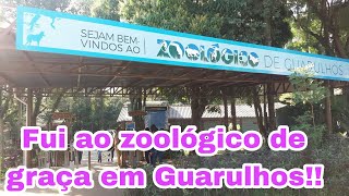 Passeio de graça com as crianças/zoológico de Guarulhos/onça/leão