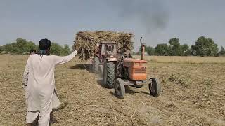 Belarus tractor sugarcane load trolley fail in mud with help New Holland tractor