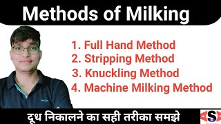 Milking Methods // दूध निकालने का सही तरीका समझे 👍