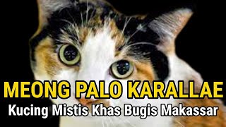 MEONG PALO KARALLAE BUGIS PENJAGA DEWI PADI SANGHYANG SERI - KISAH KUCING 3 WARNA DI EPOS LAGALIGO