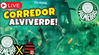 CORREDOR ALVIVERDE AO VIVO - PALMEIRAS X FLAMENGO COPA DO BRASIL 2024 - PRÉ JOGO