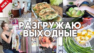 МНОГО ДЕЛ! ВКУСНЕЙШИЕ КАПУСТНЫЕ ОТБИВНЫЕ ОРГАНИЗАЦИЯ В ХОЛОДИЛЬНИКЕ ПОРЯДОК В ДЕТСКОЙ И ДР.