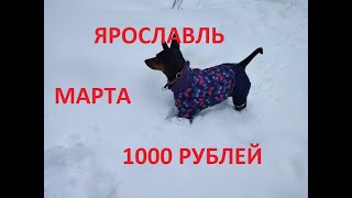 ЯРОСЛАВЛЬ МАРТА 1000 РУБЛЕЙ