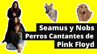 SEAMUS y NOBS, los PERROS CANTANTES de PINK FLOYD