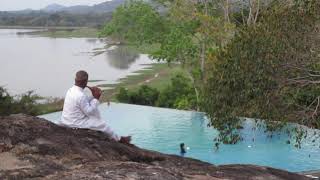 The Flute Player - Heritance Kandalama Resort - Sri Lanka #shorts