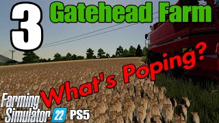 Gatehead Farm #3 Lets Play FS22 / What's popping ? On PS5