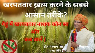 गेहूं में खरपतवार नष्ट करने का सर्वोत्तम उपाय - क्या करें और क्या नहीं || gehu me kharpatwar nashak