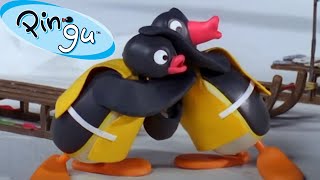 Pingu's Favorite Pastimes 🐧 | Pingu - Official Channel | Cartoons For Kids