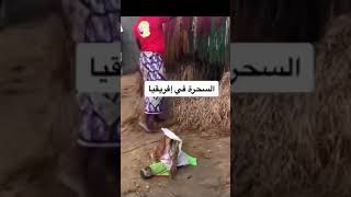 السحرة في إفريقيا Shorts#