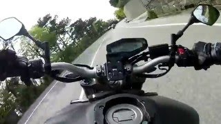 MT09 vs Z750 close call