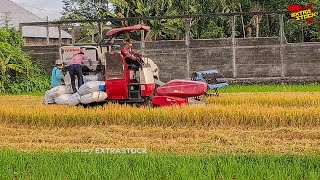 Yanmar Combine Harvester Memanen Padi