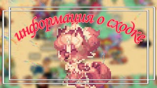 °-•Сходка в pony town •-°